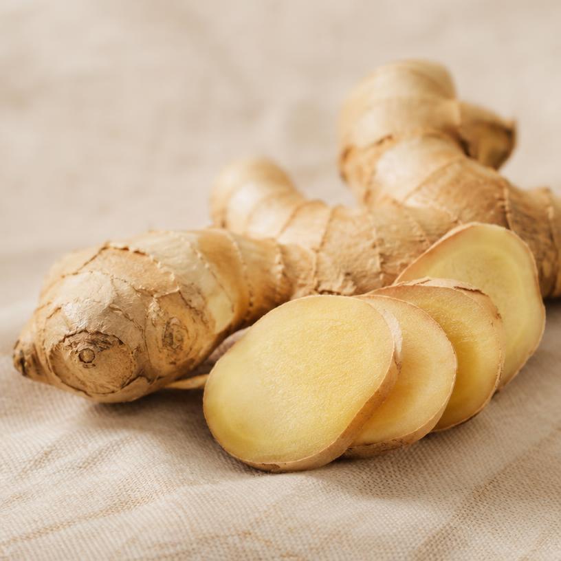 Fresh ginger root with sliced rounds