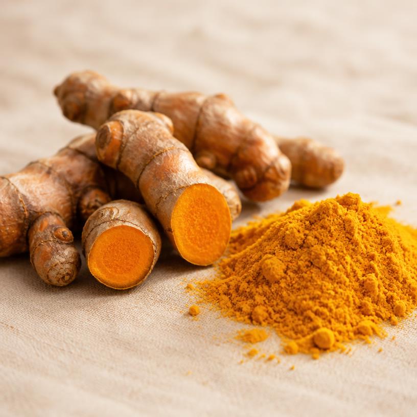 Fresh turmeric root and golden turmeric powder